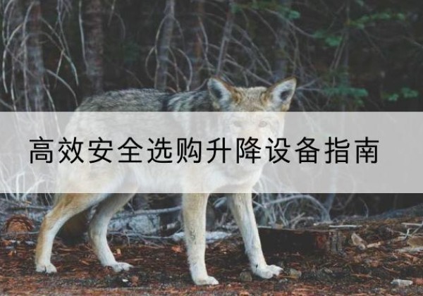 永州升降货梯厂家推荐-*安全选购升降设备指南