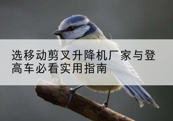 永州电动升降机厂家-选移动剪叉升降机厂家与登高车必看实用指南